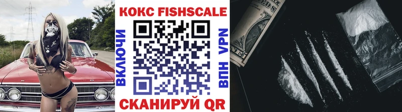 Cocaine FishScale  купить закладку  ссылка на мегу зеркало  Кузнецк 