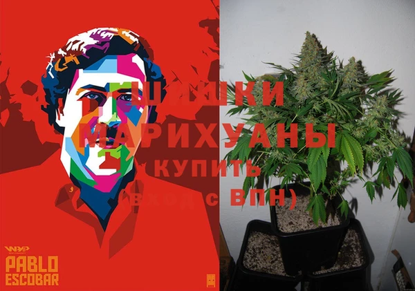 каннабис Белокуриха