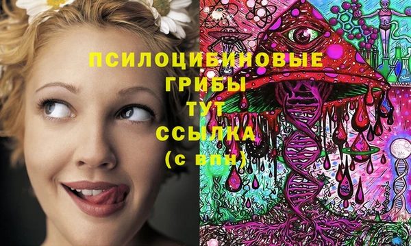 ПСИЛОЦИБИНОВЫЕ ГРИБЫ Беломорск
