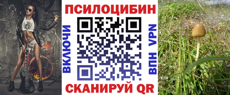 Псилоцибиновые грибы прущие грибы Кузнецк