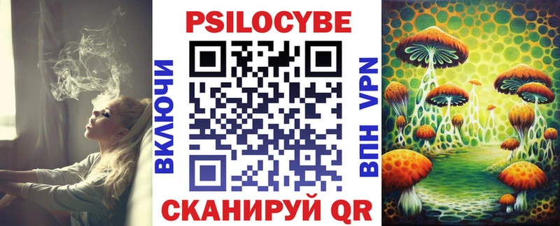 Псилоцибиновые грибы Psilocybine cubensis  купить   Кузнецк 